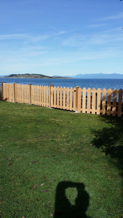 Cedar Fence