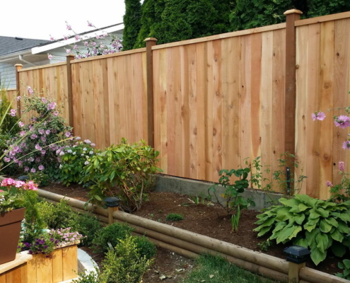 Cedar Fence