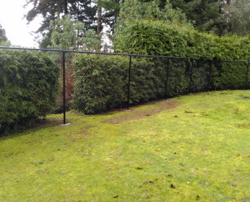 Chainlink Fencing
