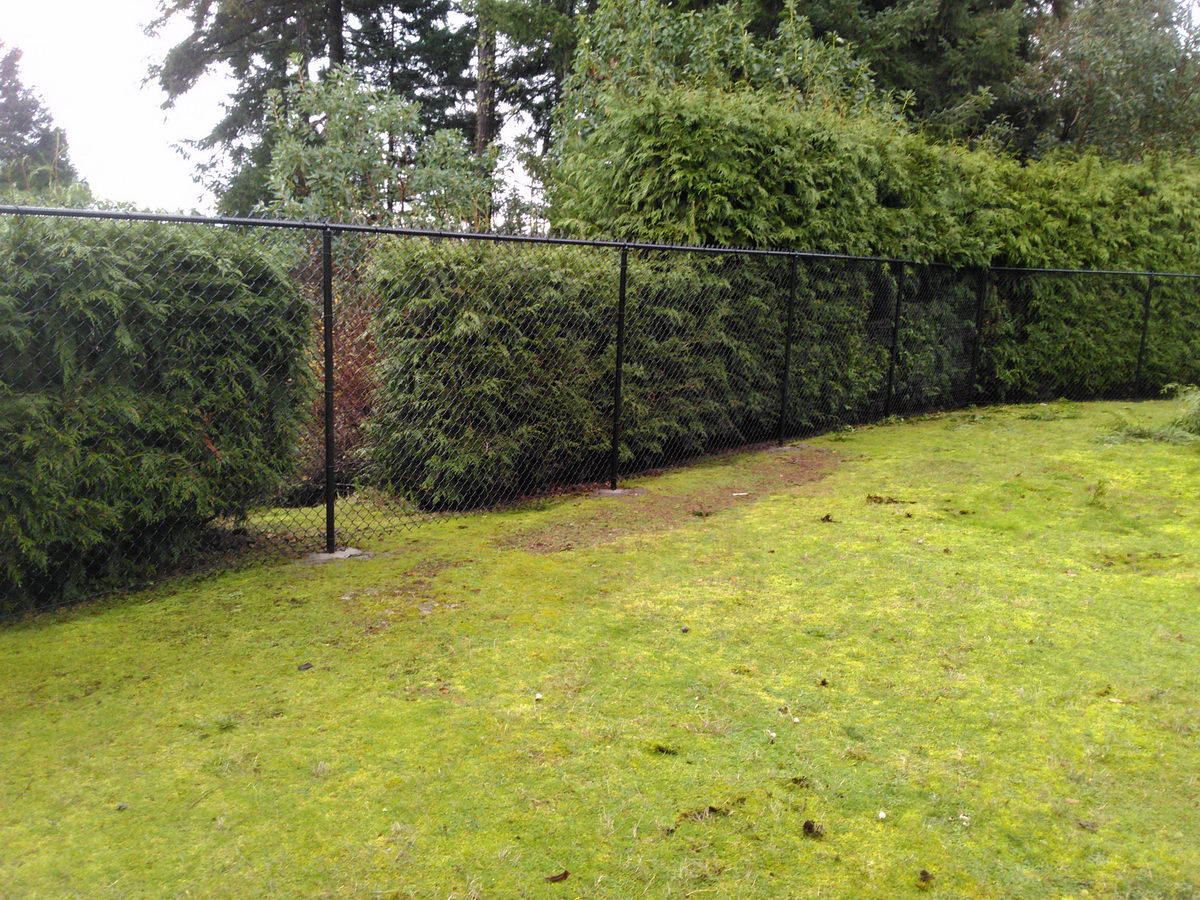 Chainlink Fencing, Photos, Fence Company, Nanaimo, Campbell River
