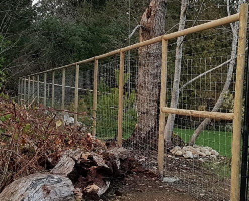 Deer Fence