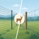 Deer Netting Versus Wire Fencing Compared