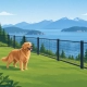 Dog Containment Fences That Work on Vancouver Island